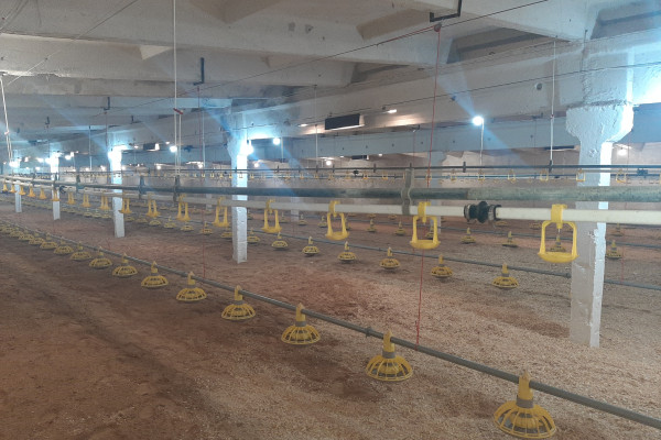 Продаж птахофабрики в Черкаській області